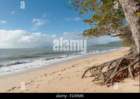 Unberührte Ellis Beach nördlich von Palm Cove und Cairns, tropischen Queensland, Australien Stockfoto