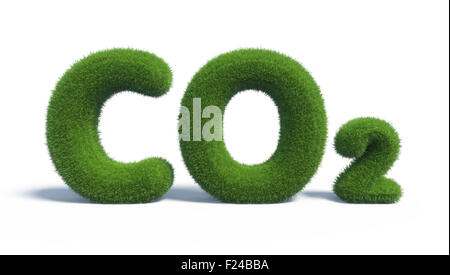 Symbole CO2 gemacht von grünem Rasen. 3D render Stockfoto