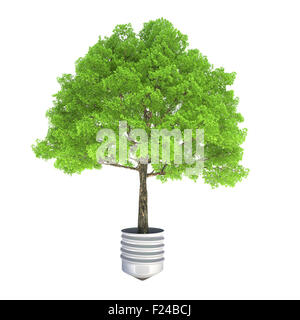 Baum wächst aus einem Metall Lampe Basis Stockfoto