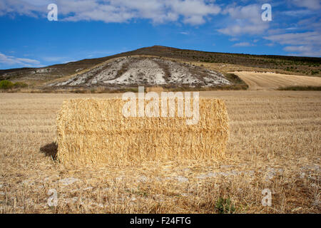 Heuballen auf dem Lande Stockfoto