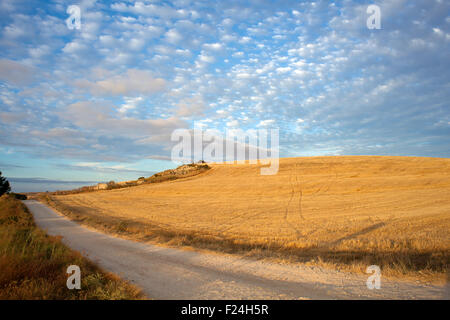 Straße in die Landschaft - Jakobsweg, Spanien Stockfoto