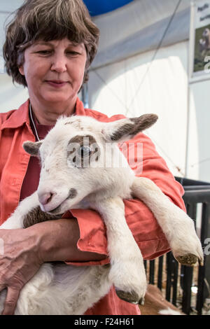 Frau hält ein Katahdin Haar Lamm auf der Mutter Erde News Messe in Puyallup, Washington, USA. Stockfoto