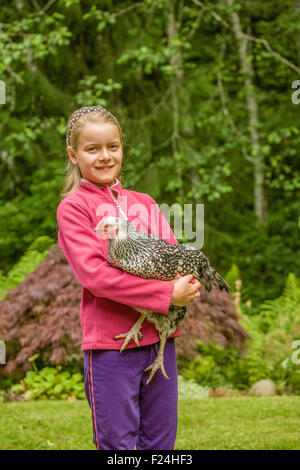 Elfjährige Mädchen hält ihr Wyandotte Silber-geschnürt-Huhn in Issaquah, Washington, USA Stockfoto