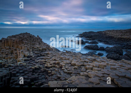 Dämmerung über den Giant's Causeway entlang der Nordküste, County Antrim, Nordirland, Vereinigtes Königreich Stockfoto