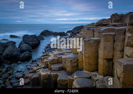 Dämmerung über den Giant's Causeway entlang der Nordküste, County Antrim, Nordirland, Vereinigtes Königreich Stockfoto