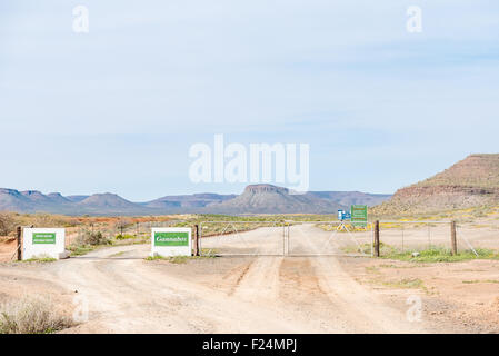 Ein typischer Anblick auf Landstraßen in Südafrika Stockfoto