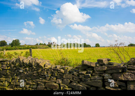 Riber Burg oben auf dem Hügel am Matlock Derbyshire UK Stockfoto