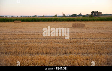 Feld nach der Ernte in Spanien Stockfoto