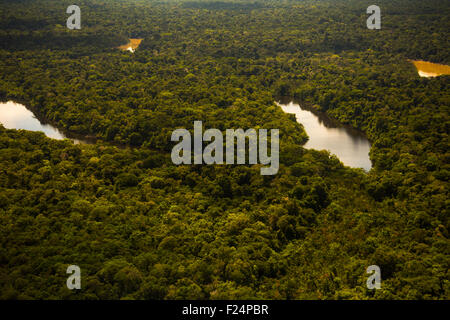 Regenwald-Antenne, Yavari-Mirin Fluss, Oxbow See und Urwald, Amazonas, Peru Stockfoto