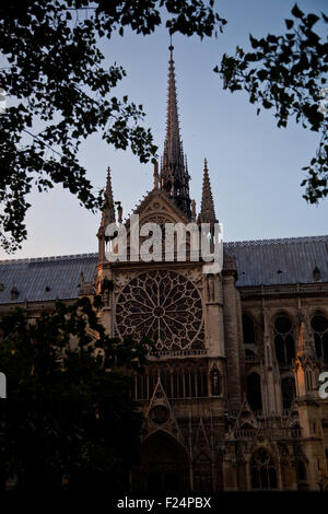 Dotre-Dame de Paris in der Abenddämmerung Stockfoto