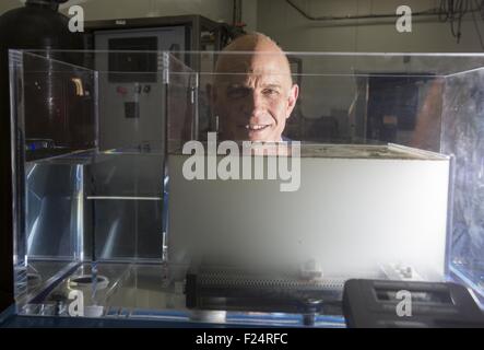 Los Angeles, Kalifornien, USA. 18. August 2015. Riggs Eckelberry, CEO, OriginClear. © Ringo Chiu/ZUMA Draht/Alamy Live-Nachrichten Stockfoto