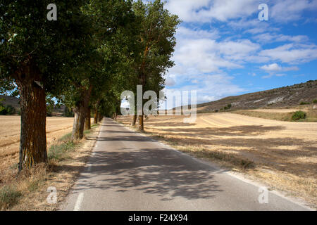 Straße auf dem Lande, Jakobsweg - Spanien Stockfoto