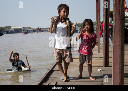 Kambodschanische Kinder mit Schlange schwimmenden Dorf in der Nähe von Siem reap Stockfoto