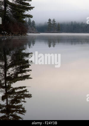 Morgendämmerung auf Elch Teich, Maine. Dampf steigt von der Oberfläche des Sees. Stockfoto