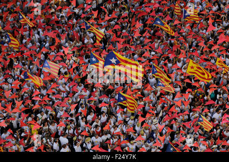 Barcelona, Spanien. 11. September, 2015. Zehntausende Menschen versammeln sich in Barcelona zu einer Nachfrage nach Unabhängigkeit Kataloniens Katalonien nationalen Tag Meridiana Avenue in Barcelona, Spanien, 11. September 2015. Bildnachweis: Pau Barrena/Xinhua/Alamy Live-Nachrichten Stockfoto