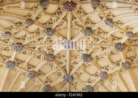 Ein Detail der bunten Bosse der reich verzierte gotische Ventilator gewölbte Decke über der Orgelempore, Sherborne Abbey. Dorset, England, Vereinigtes Königreich. Stockfoto