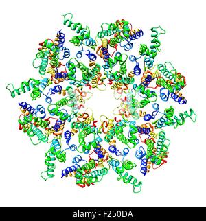 Frontalansicht einer molekularen Darstellung von einem unreifen humanen Immundefizienz-Virus Typ 1 (HIV-1) Kapsid in einer intakten Viruspartikel. Die funkionalen baut in ein Hexameric Protein Gitter an der Plasmamembran der infizierten Zelle, Induktion, angehende und Freisetzung von einem unreifen particle.leading, interne Umlagerung des Virus in die Reife, infektiöse Form. Stockfoto