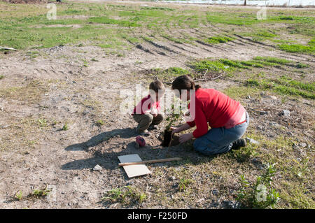 Familie pflanzt Bäume Laube am (Tu Beshvat), Israel Stockfoto