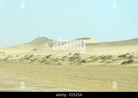 Wüstenlandschaft in Doha, Katar Stockfoto