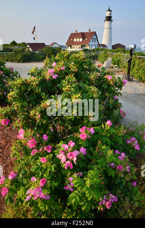 Portland Head Lighthouse geschmückt in Azaleen in Portland, Maine Stockfoto