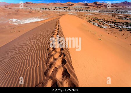 Fußabdrücke im Sanddünen-Kamm in der marokkanischen Sahara Stockfoto