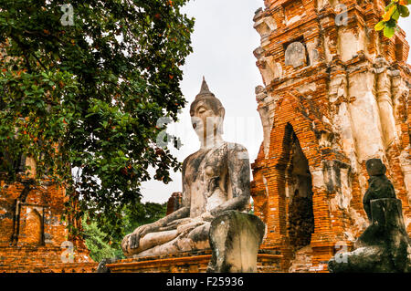 Tempel Wat Mahathat, Ayutthaya, Thailand Stockfoto