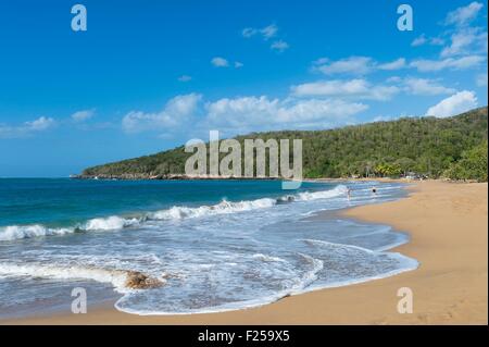 Deshaies, Strand Anse De La Perle, Basse-Terre, Guadeloupe (Französische Antillen), Frankreich Stockfoto