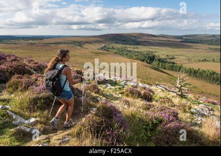 Frankreich, Finistere, St. Rivoal, Wandern auf den Mont Saint-Michel Brasparts und Blick auf die Monts d'Arree in Armorica regionaler Naturpark Stockfoto