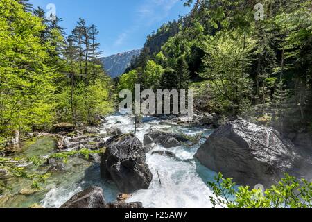 Frankreich, Hautes-Pyrenäen, Cauterets, Stream zwischen Cauterets und Pont d ' Espagne, Parc National des Pyrenäen (Pyrenäen-Nationalpark) Stockfoto