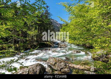 Frankreich, Hautes-Pyrenäen, Cauterets, Stream zwischen Cauterets und Pont d ' Espagne, Parc National des Pyrenäen (Pyrenäen-Nationalpark) Stockfoto