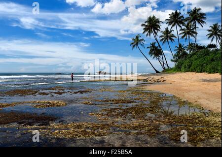 Sri Lanka, Südprovinz, Galle, Jetwing Lighthouse Hotel Strand Stockfoto