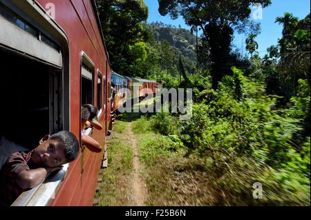 Sri Lanka, Uva Provinz, die beliebte malerische Zugfahrt durch den Tee wächst Hügelland zwischen Badulla und Ella Stockfoto
