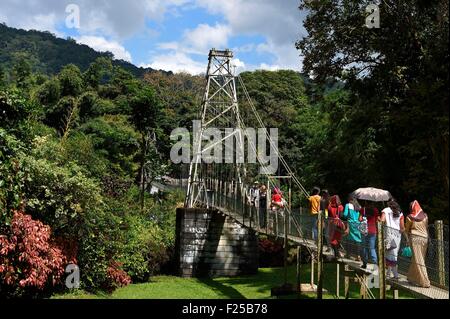 Sri Lanka, Zentrum der Provinz, Kandy, Peradeniya Botanical Garden, die Hängebrücke über den Fluss Mahaweli Stockfoto