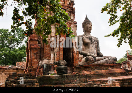 Tempel Wat Mahathat, Ayutthaya, Thailand Stockfoto
