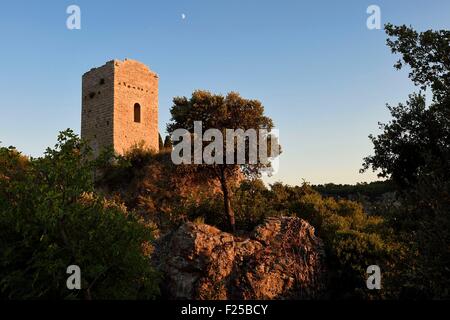 Frankreich, Var, Dracenie, Dorf Chateaudouble, Ruinen der Sarazenenturm des 8. Jahrhunderts Stockfoto