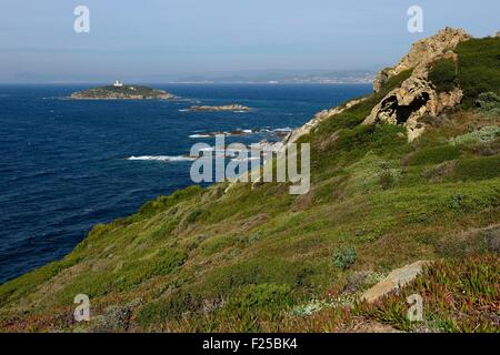 Pointe du Coucoussa, im Hintergrund der Grand Rouveau Island und dem Festland, Île des Embiez, Var, Frankreich Stockfoto