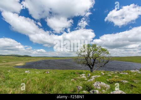 Frankreich, Lozere, Aubrac, Lake St Andeol auf dem Weg nach Saint Jacques de Compostela Stockfoto