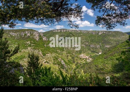 Frankreich, Aveyron, la Roque Sainte Marguerite und Flusses Dourbie Stockfoto