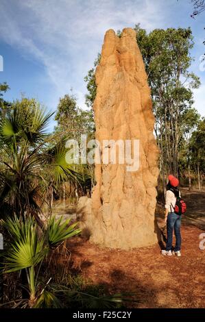 Australien, Northern Territory, Litchfield National Park, Dom Termite Hügel (Herr Dawa "OK") Stockfoto