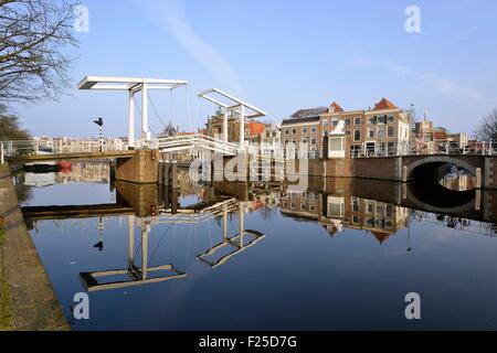 Niederlande, Nordholland, Haarlem, Teylers Museum und Grote Kerk Fluss Spaarne Stockfoto