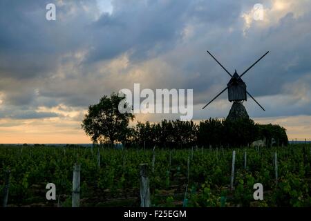 Frankreich, Maine et Loire, Loire-Tal aufgeführt als Wort Erbe der UNESCO, Turquant, Windmühle von La Tranchee, datiert 18 th. Jahrhundert Stockfoto