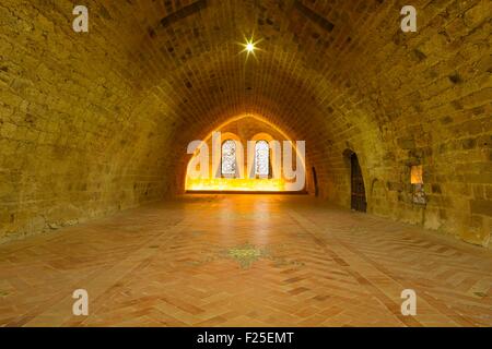 Frankreich, Aude, Narbonne, Sainte Marie de Fontfroide Zisterzienserabtei, der Mönch Schlafsaal Stockfoto