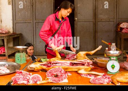 Vietnam, Yen Bai Provinz, Nghia Lo Stadt, Trung Tam, Frau Hundefleisch auf dem Markt verkaufen Stockfoto