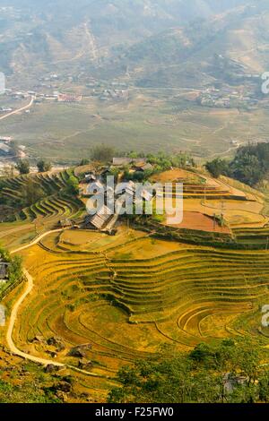 Vietnam, Yen Bai Provinz, Mu Cang Chai District, La Pan Tan, Reisfeld Stockfoto
