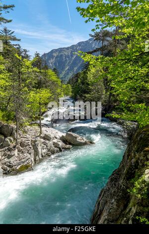 Frankreich, Hautes-Pyrenäen, Cauterets, Stream zwischen Cauterets und Pont d ' Espagne, Parc National des Pyrenäen (Pyrenäen-Nationalpark) Stockfoto