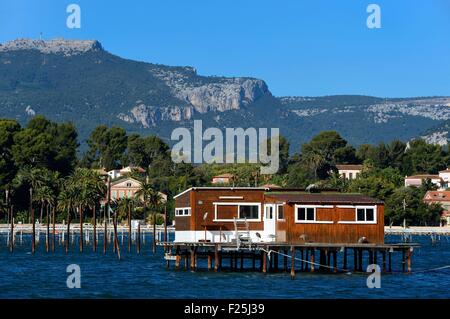 Frankreich, Var, Rade (Reede) von Toulon, La Seyne-sur-Mer, Muscheln und Austern Park, Aquakultur Bauernhof Stockfoto