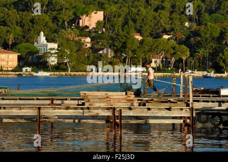 Frankreich, Var, Rade (Reede) von Toulon, La Seyne-sur-Mer, Muscheln und Austern Park, Aquakultur Bauernhof Stockfoto