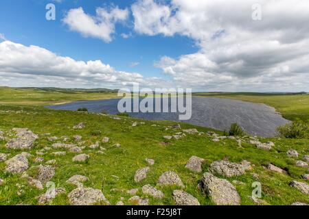 Frankreich, Lozere, Aubrac, Lake St Andeol auf dem Weg nach Saint Jacques de Compostela Stockfoto