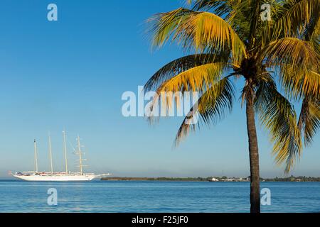 Kuba, Cinefuegos Provinz, Cienfuegos, Kreuzfahrtschiff in Cienfuegos Bucht von Punta Gorda Stockfoto
