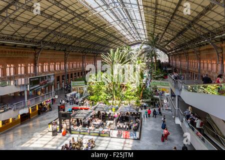 Spanien, Madrid, Atocha Station im späten neunzehnten Jahrhundert als 1992 der Architekt Raphael Moneo installiert einen 4000 M▓ Garten mit 7000 Bäume und Pflanzen in der ehemaligen Halle trainieren Stockfoto